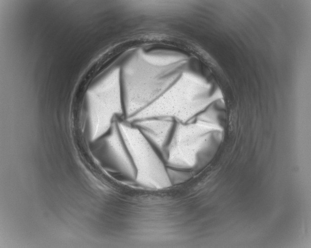 X0000074210722200609221940