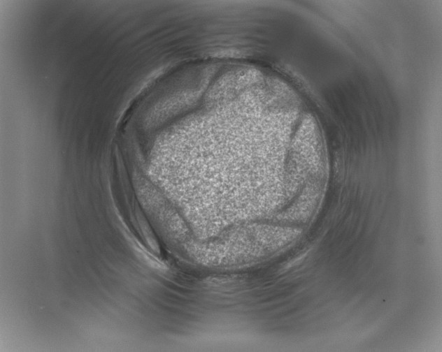 X0000074210725200609221941