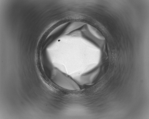 X0000074210726200609221941