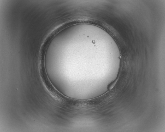 X0000074210728200609221941