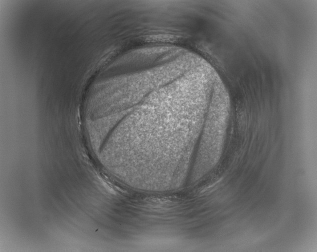 X0000074210729200609221941