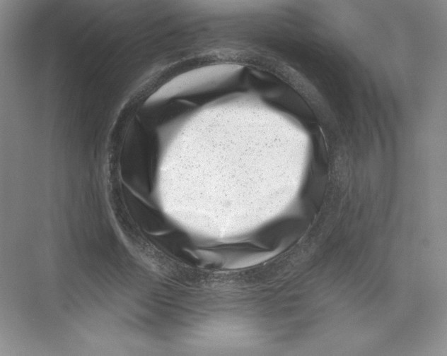 X0000074210730200609221941