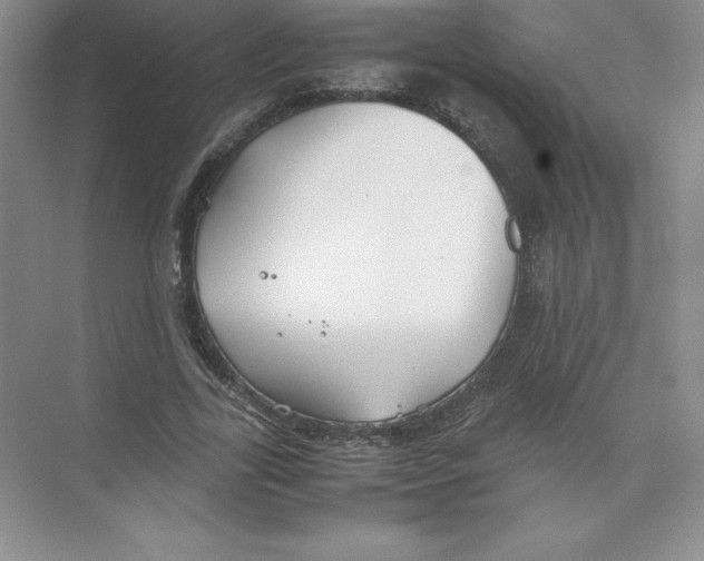 X0000074210731200609221941