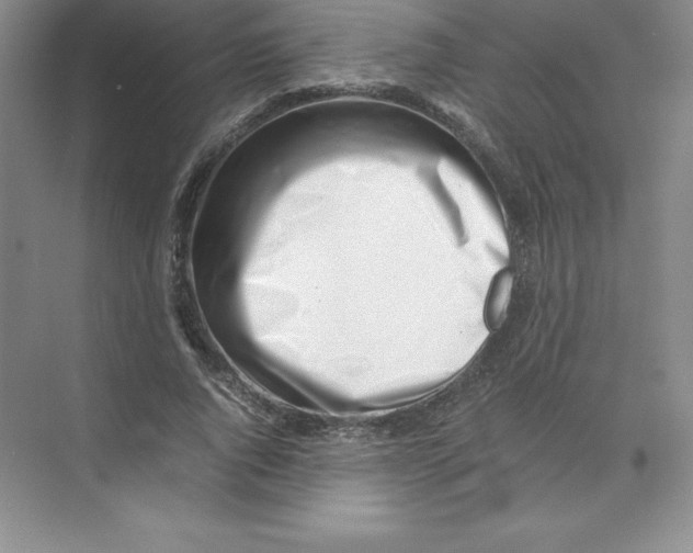 X0000074210736200609221941