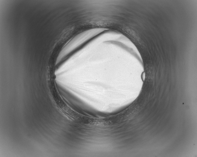 X0000074210738200609221941