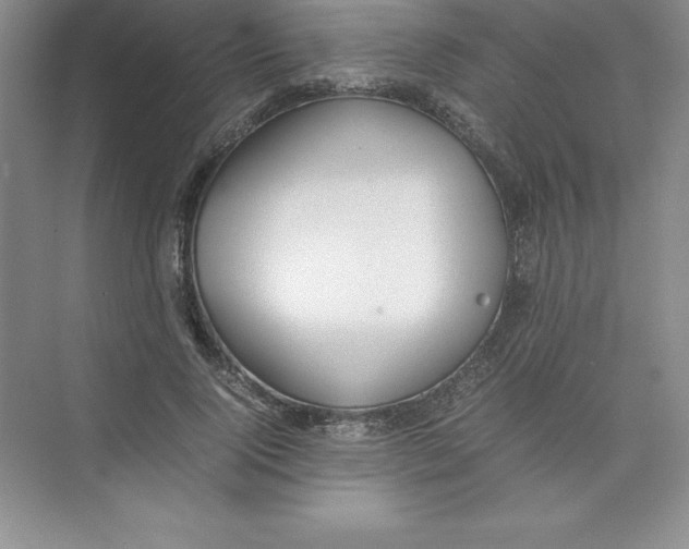 X0000074210740200609221941