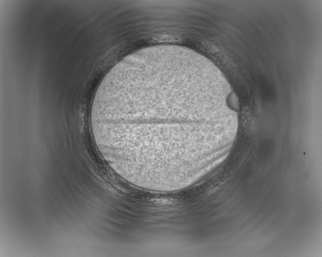 X0000074210741200609221941