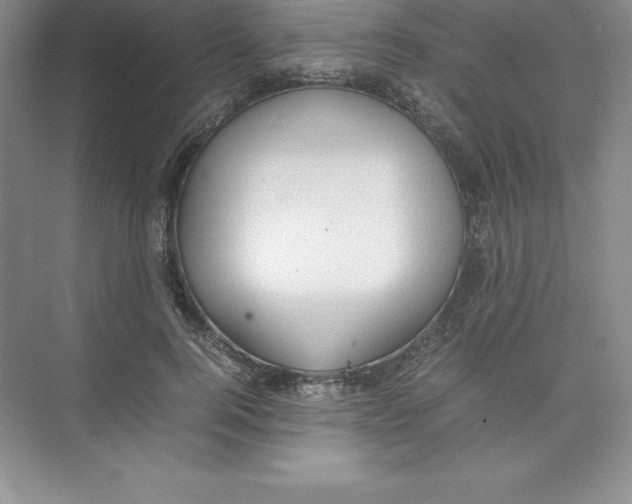 X0000074210744200609221941