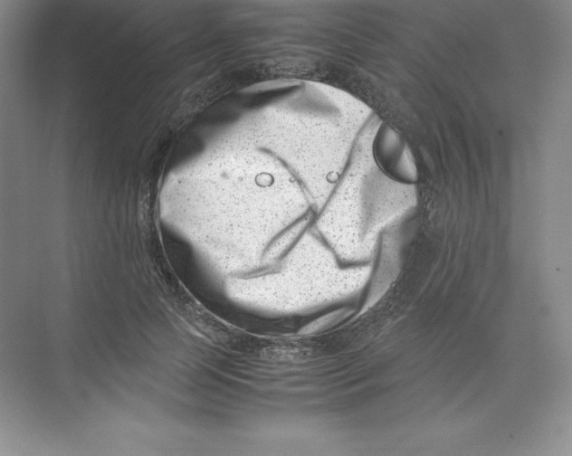 X0000074210745200609221941