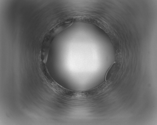 X0000074210750200609221941