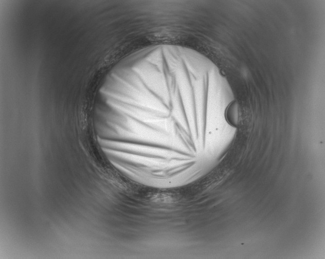 X0000074210751200609221941