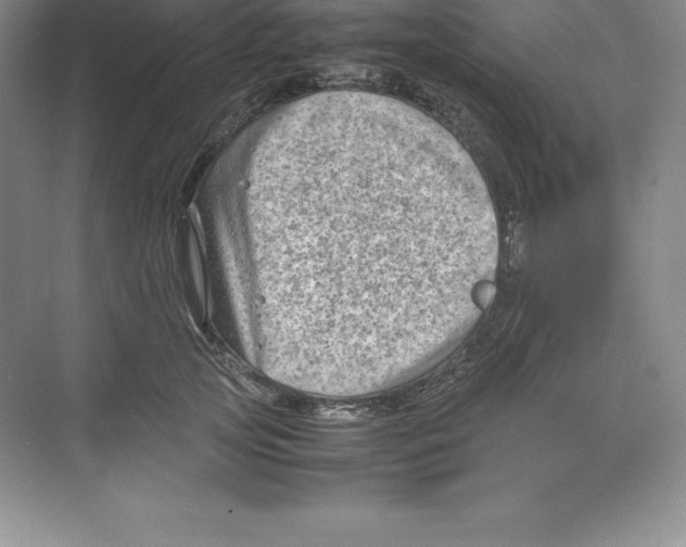 X0000074210753200609221941