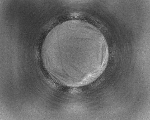 X0000074210754200609221941