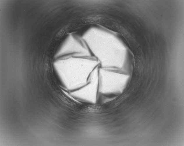 X0000074210758200609221941