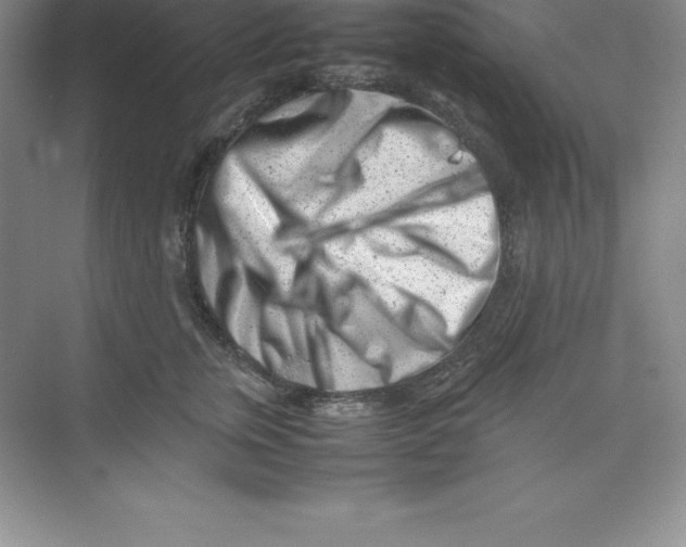 X0000074210759200609221941