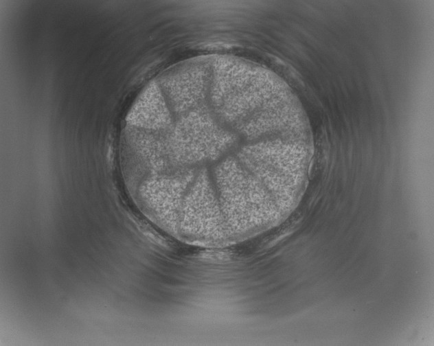 X0000074210762200609221941