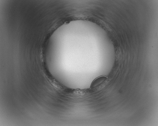 X0000074210764200609221941