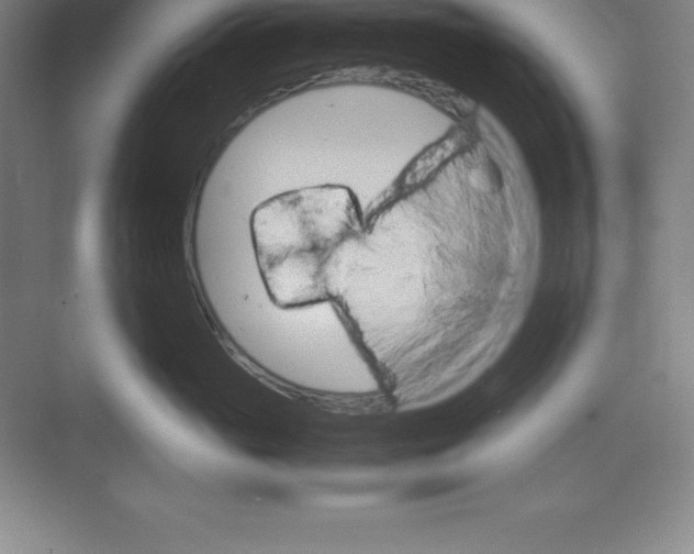 X0000074210765200609221941