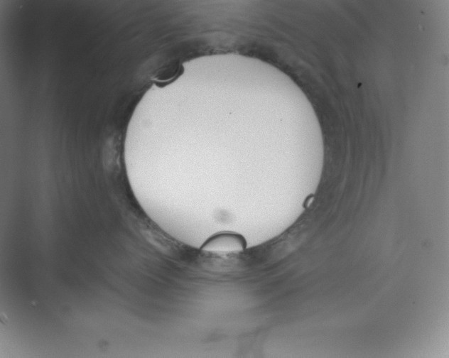 X0000074210768200609221941