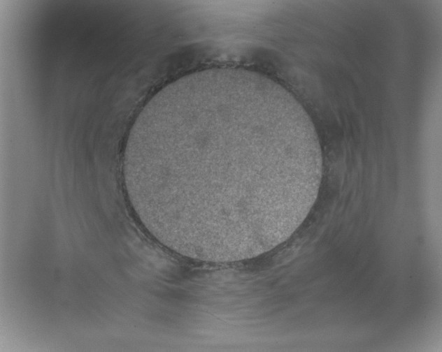 X0000074210769200609221940