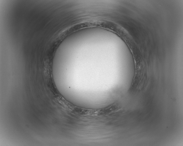 X0000074210773200609221940