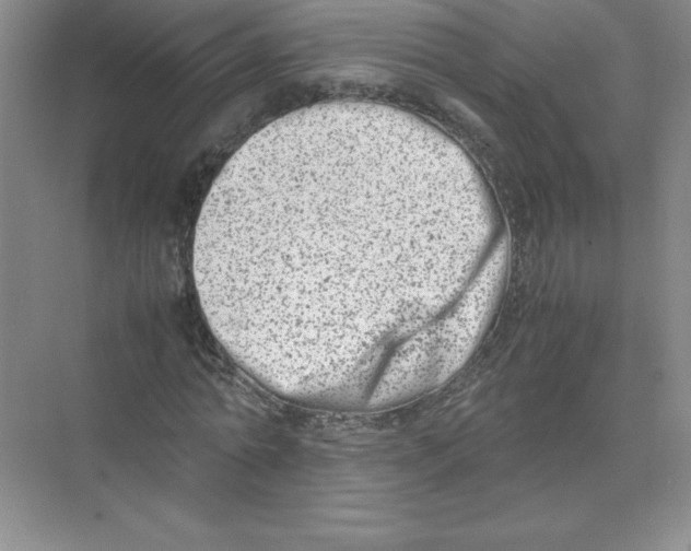 X0000074210774200609221940