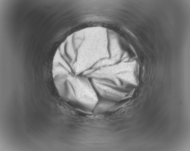 X0000074210775200609221940