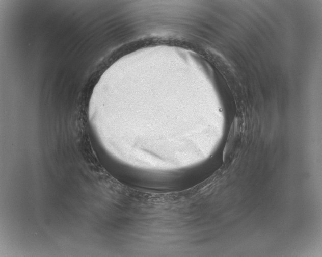 X0000074210776200609221940