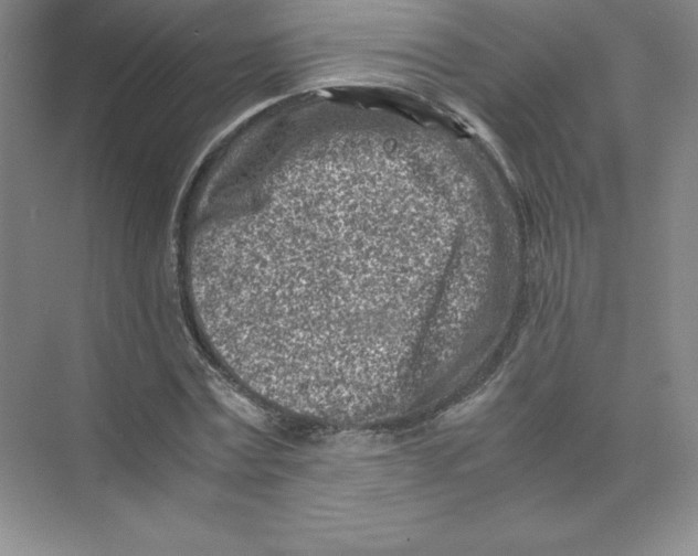 X0000074210779200609221940