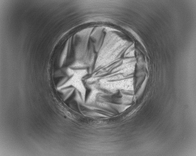 X0000074210783200609221940