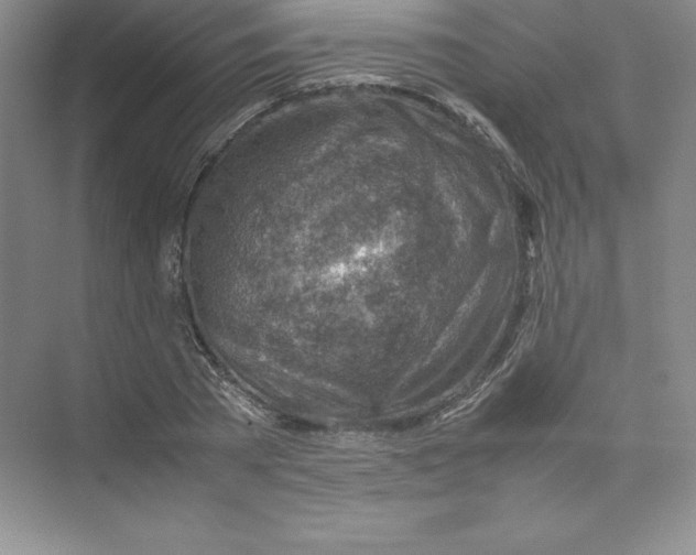 X0000074210785200609221940