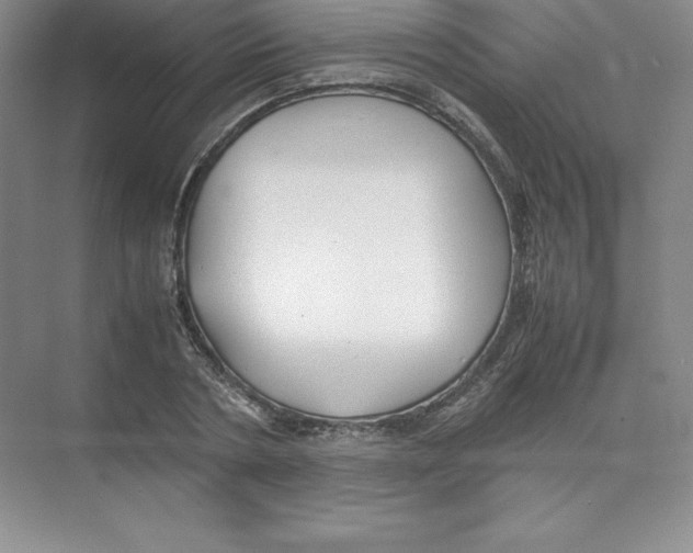 X0000074210786200609221940