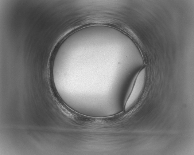 X0000074210787200609221940