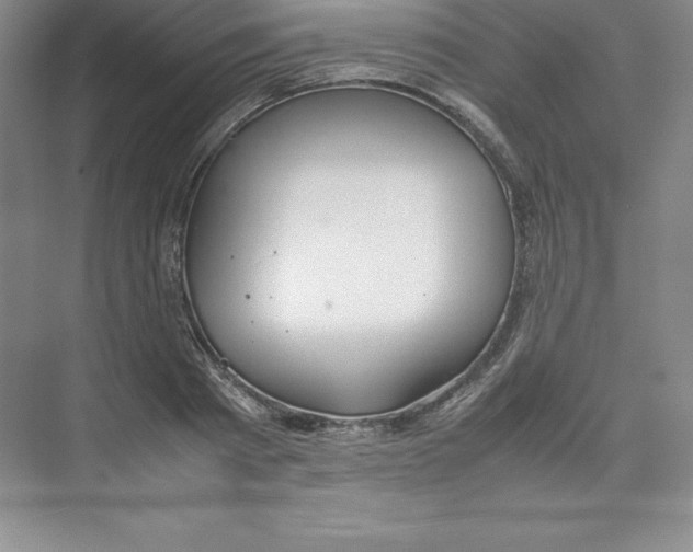 X0000074210793200609221940