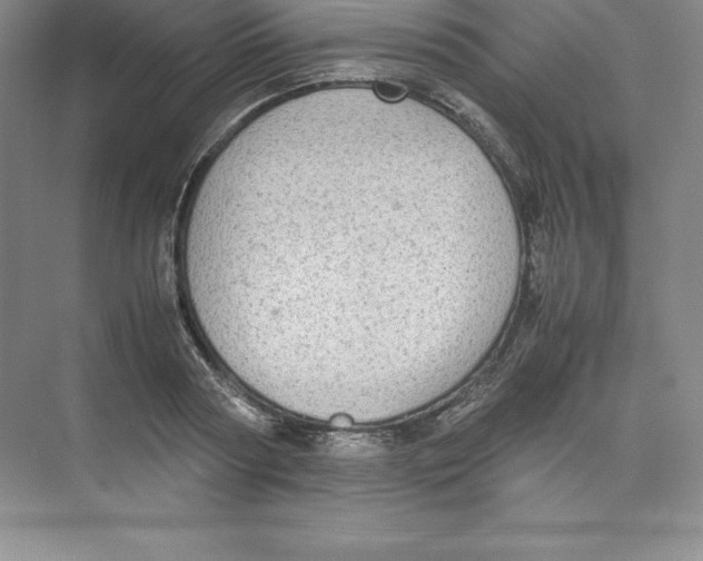 X0000074210794200609221940