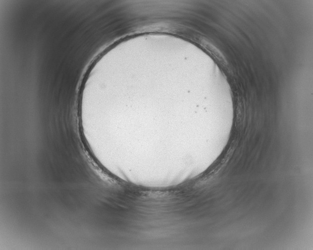 X0000074210800200609221940