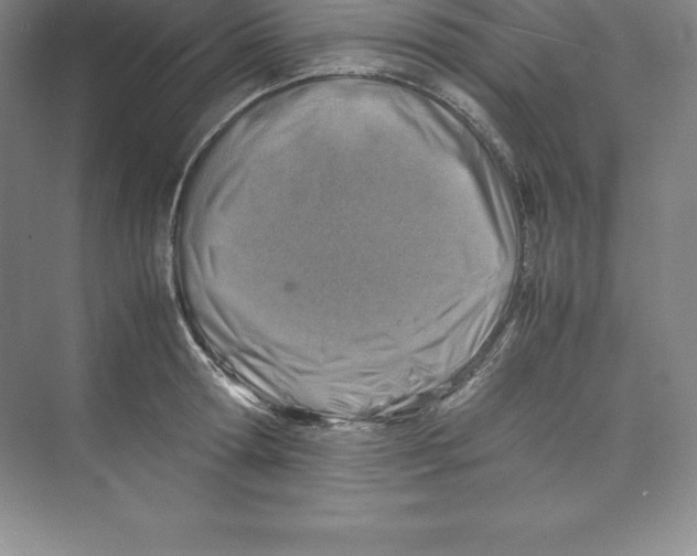 X0000074210802200609221940