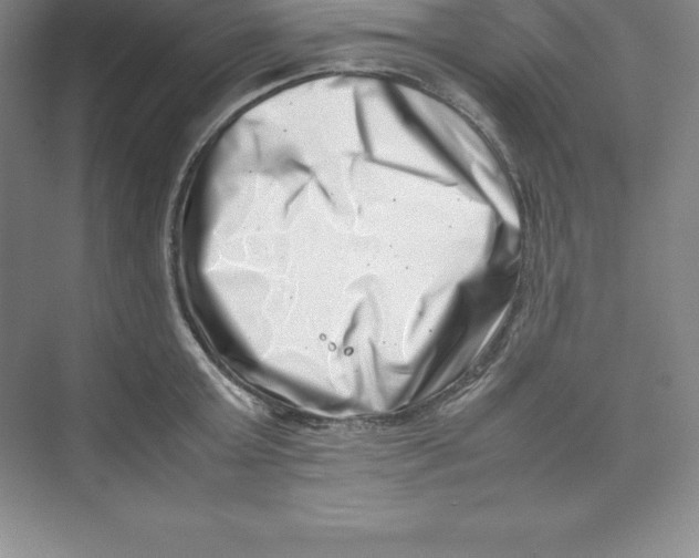 X0000074210803200609221940