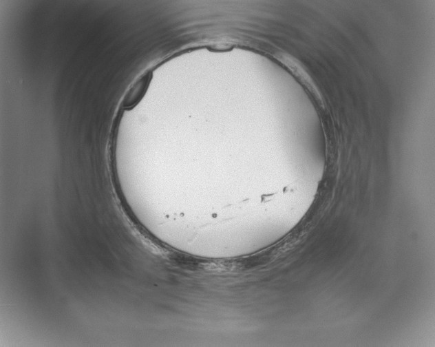 X0000074210805200609221940