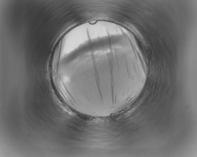 X0000074210806200609221940