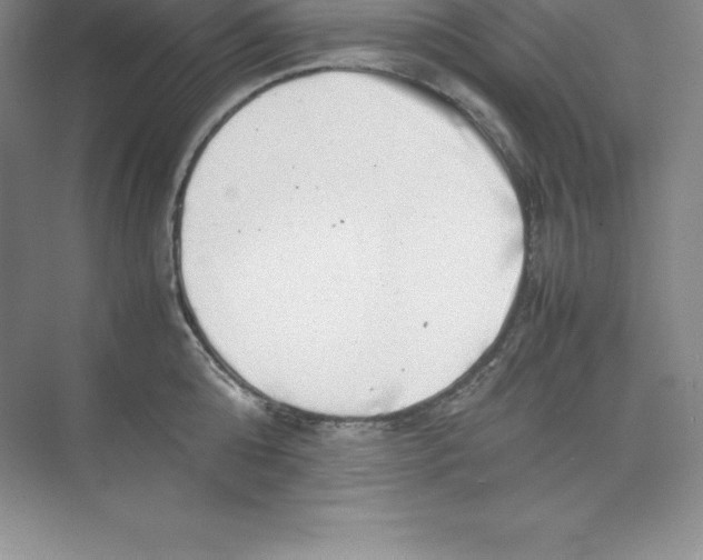 X0000074210808200609221940