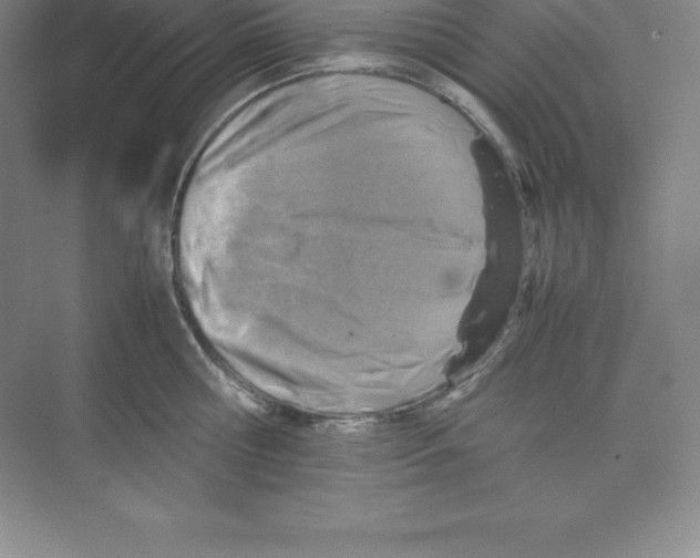 X0000074210810200609221940