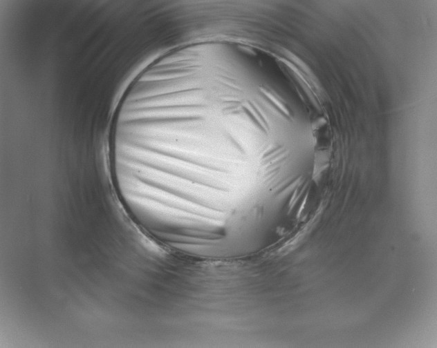 X0000074210812200609221940