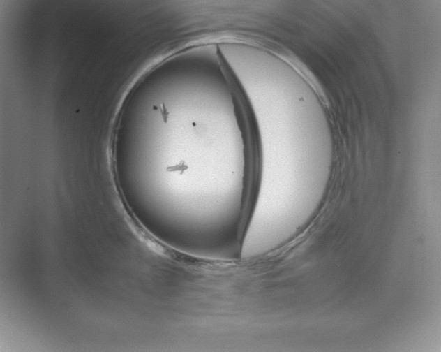 X0000074210813200609221940