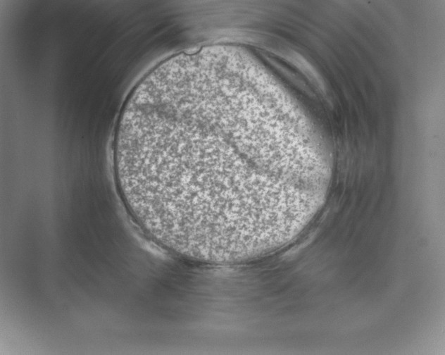 X0000074210814200609221940