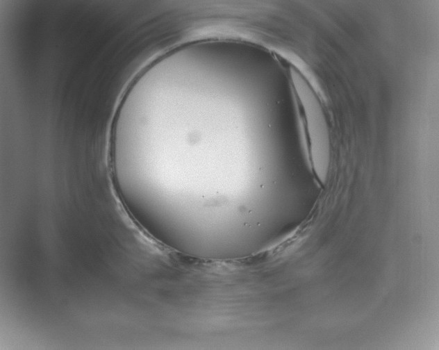 X0000074210815200609221940