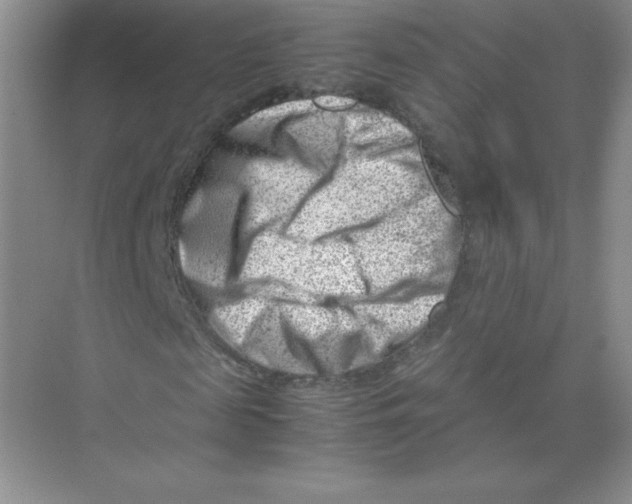 X0000074210817200609221939