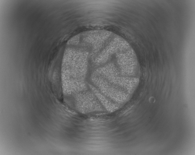 X0000074210818200609221939