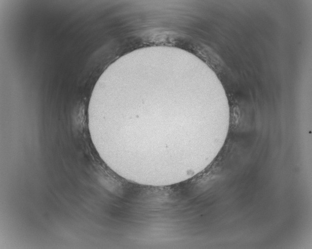 X0000074210820200609221939