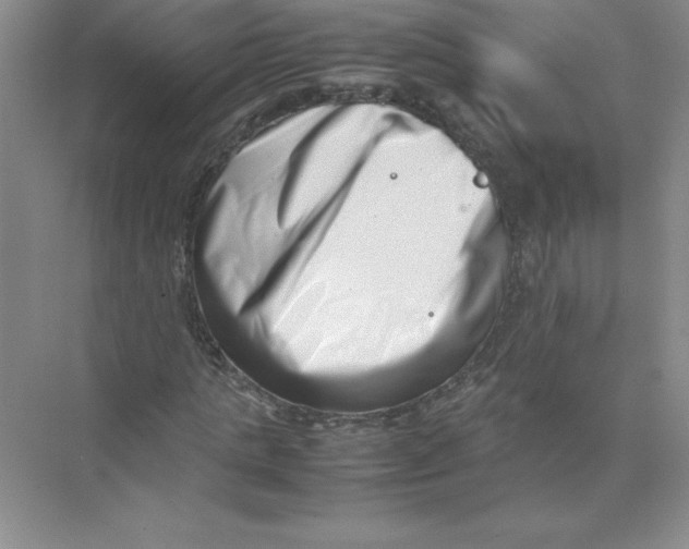 X0000074210821200609221939